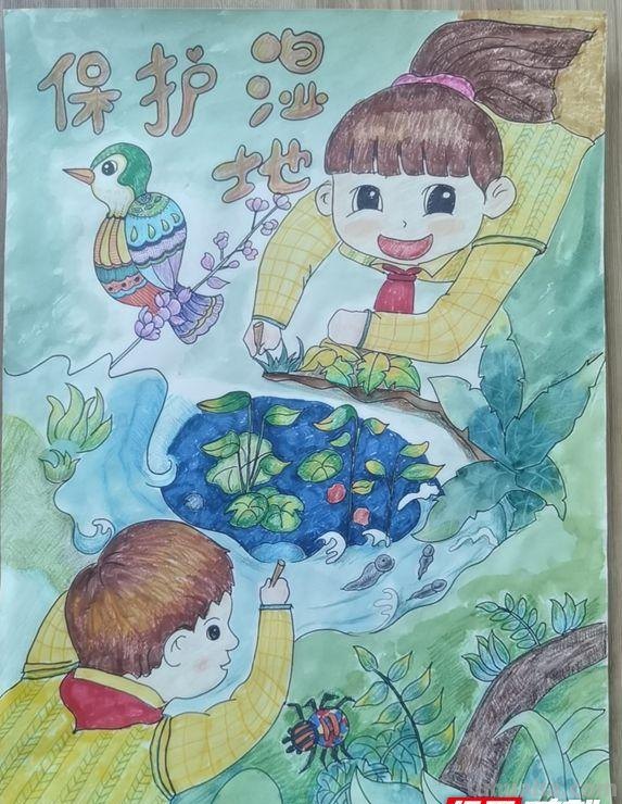 张家界：世界地球日自然科普画接力赛获奖作品选登（部分）