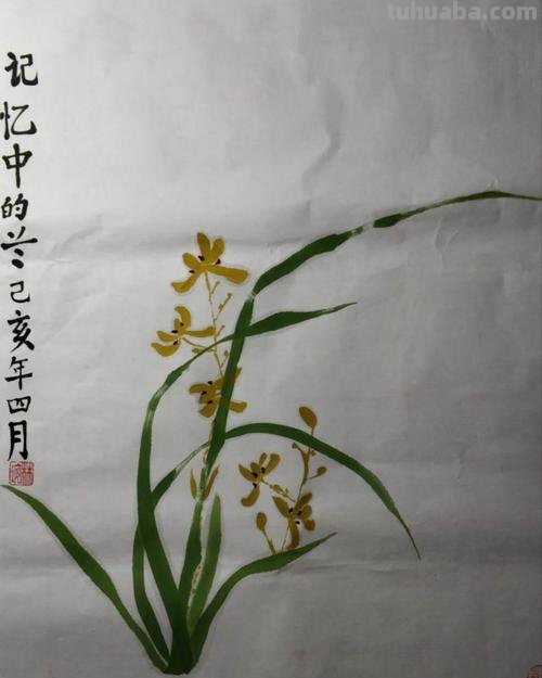 这些美丽的画带你走进自然科学，百余幅科学绘画在展出，多种兰花难得一见｜晨看展