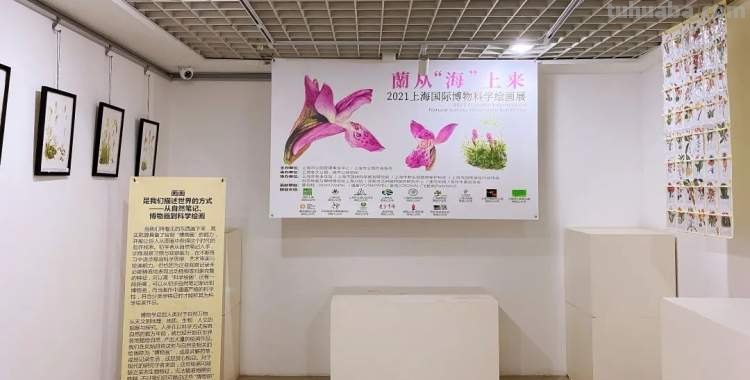 这些美丽的画带你走进自然科学，百余幅科学绘画在展出，多种兰花难得一见｜晨看展