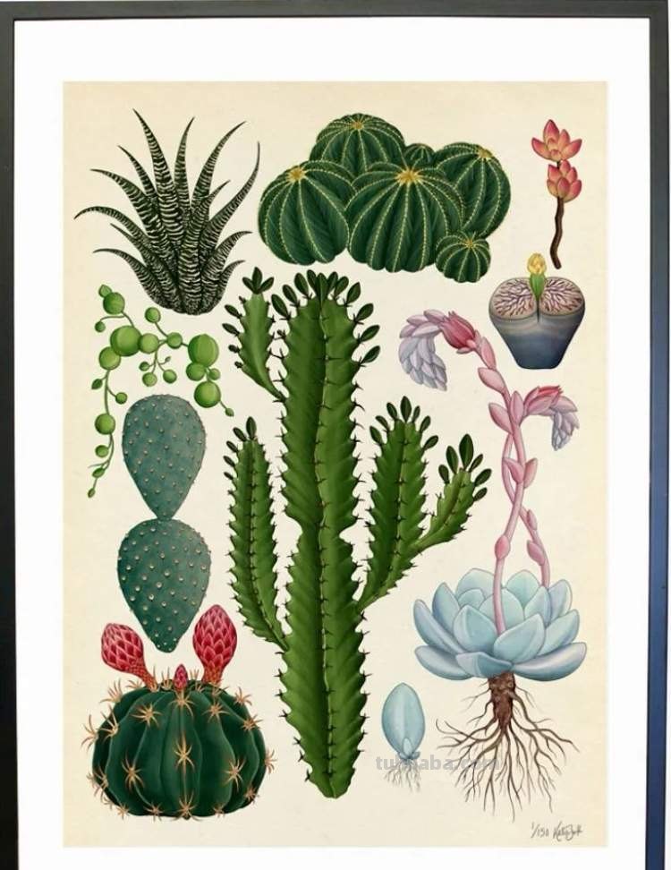 这些美丽的画带你走进自然科学，百余幅科学绘画在展出，多种兰花难得一见｜晨看展