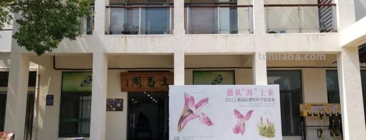 这些美丽的画带你走进自然科学，百余幅科学绘画在展出，多种兰花难得一见｜晨看展