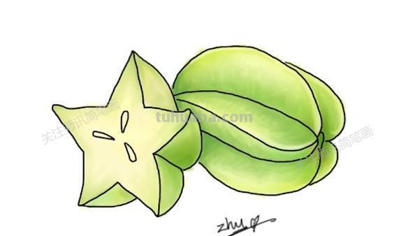 杨桃怎么画 简笔画 怎么用马克笔画杨桃？