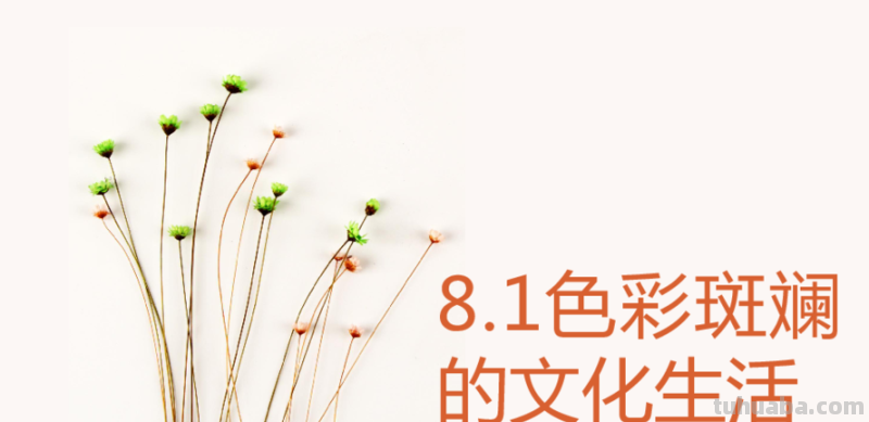 色彩文化与护理：探讨色彩在护理中的重要性 