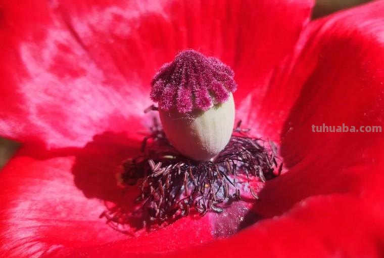 34个摄影技巧,手机大片这样拍!(影展点评第650期) 34个摄影技巧,手机大片这样拍!(影展点评第650期)