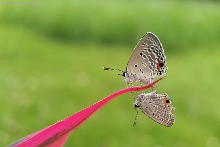 34个摄影技巧,手机大片这样拍!(影展点评第650期) 34个摄影技巧,手机大片这样拍!(影展点评第650期)