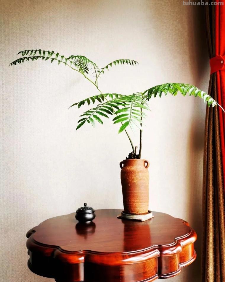 34个摄影技巧,手机大片这样拍!(影展点评第650期) 34个摄影技巧,手机大片这样拍!(影展点评第650期)