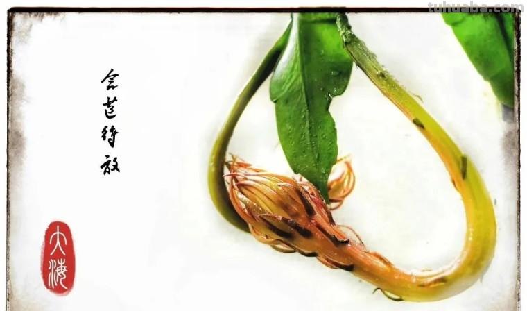 34个摄影技巧,手机大片这样拍!(影展点评第650期) 34个摄影技巧,手机大片这样拍!(影展点评第650期)