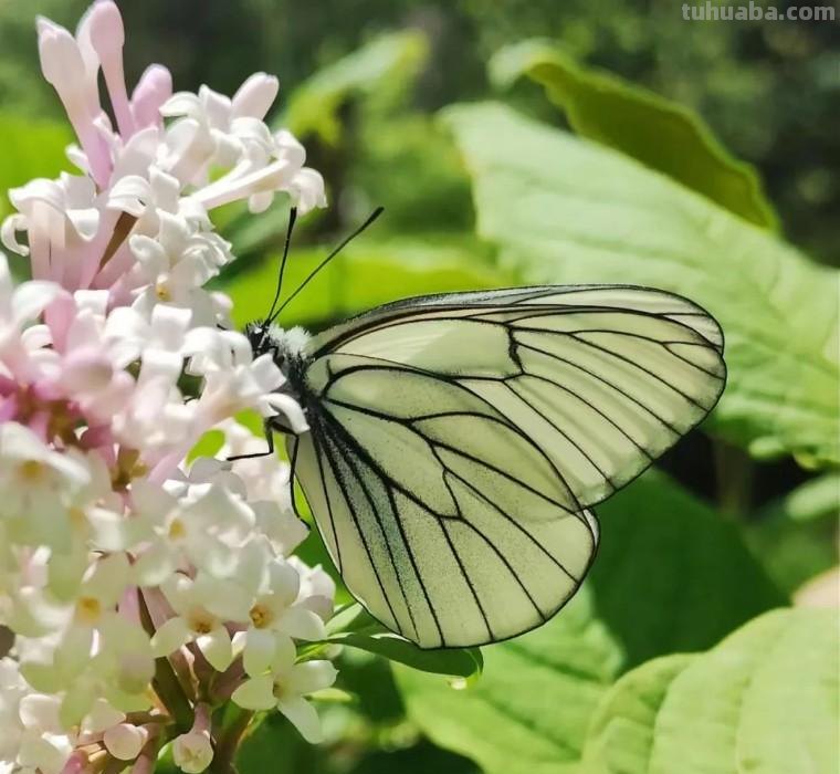 34个摄影技巧,手机大片这样拍!(影展点评第650期) 34个摄影技巧,手机大片这样拍!(影展点评第650期)