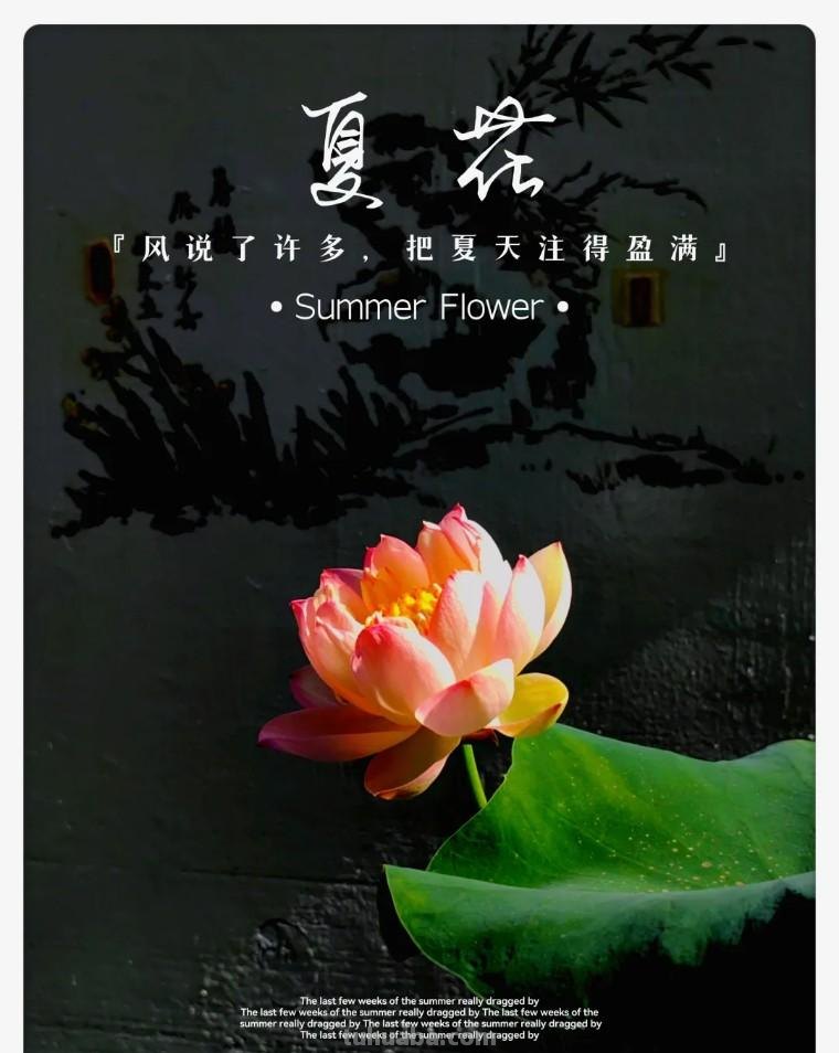 34个摄影技巧,手机大片这样拍!(影展点评第650期) 34个摄影技巧,手机大片这样拍!(影展点评第650期)