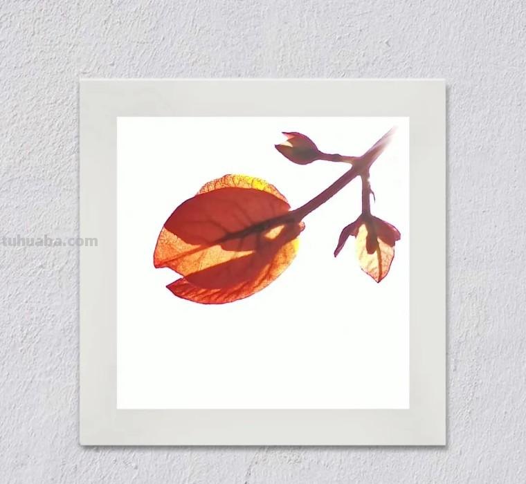 34个摄影技巧,手机大片这样拍!(影展点评第650期) 34个摄影技巧,手机大片这样拍!(影展点评第650期)