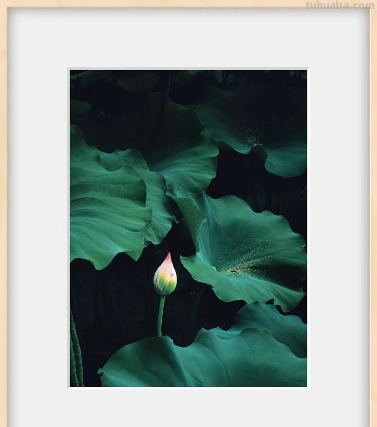 34个摄影技巧,手机大片这样拍!(影展点评第650期) 34个摄影技巧,手机大片这样拍!(影展点评第650期)