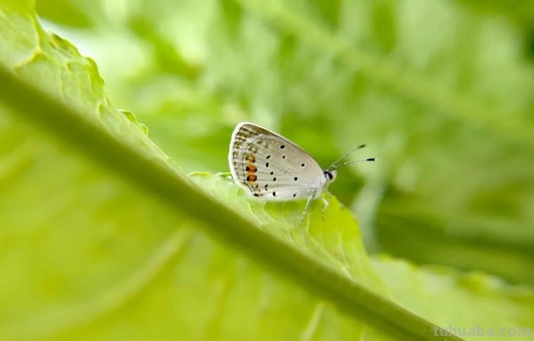 34个摄影技巧,手机大片这样拍!(影展点评第650期) 34个摄影技巧,手机大片这样拍!(影展点评第650期)