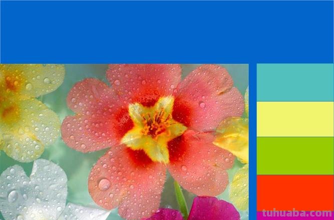 主观色彩是什么意思及主观色彩是什么意思啊 