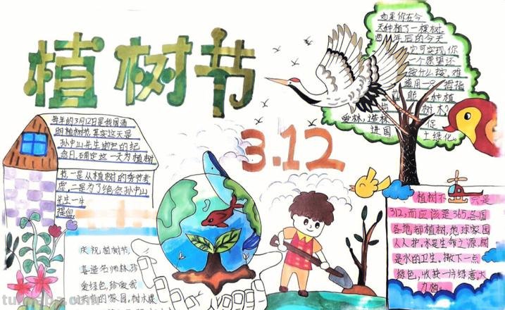 植树节的手抄报怎么画古风 植树节手抄报怎样画?