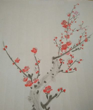 月下梅花怎么画彩铅 怎么画梅花~用铅笔图片?