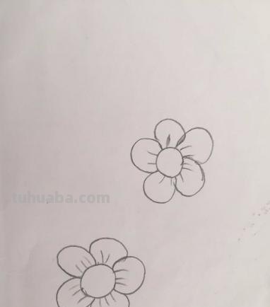 月下梅花怎么画彩铅 怎么画梅花~用铅笔图片? 月下梅花怎么画彩铅 怎么画梅花~用铅笔图片?