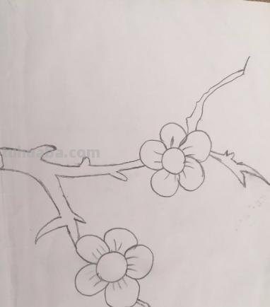 月下梅花怎么画彩铅 怎么画梅花~用铅笔图片? 月下梅花怎么画彩铅 怎么画梅花~用铅笔图片?