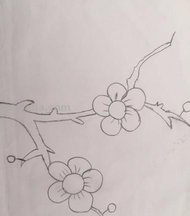月下梅花怎么画彩铅 怎么画梅花~用铅笔图片? 月下梅花怎么画彩铅 怎么画梅花~用铅笔图片?