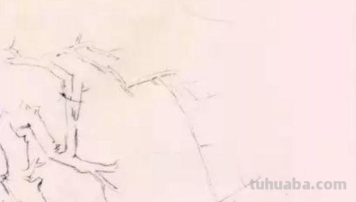 月下梅花怎么画彩铅 怎么画梅花~用铅笔图片? 月下梅花怎么画彩铅 怎么画梅花~用铅笔图片?