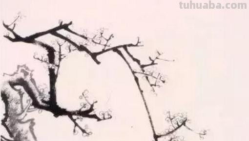 月下梅花怎么画彩铅 怎么画梅花~用铅笔图片? 月下梅花怎么画彩铅 怎么画梅花~用铅笔图片?