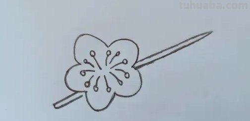 月下梅花怎么画彩铅 怎么画梅花~用铅笔图片? 月下梅花怎么画彩铅 怎么画梅花~用铅笔图片?