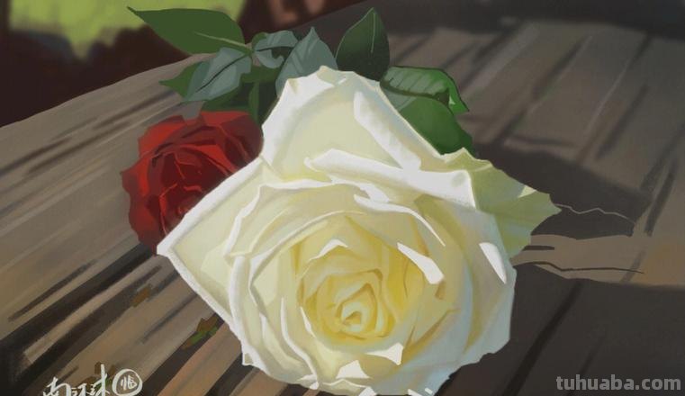 如何画出色彩玫瑰及色彩玫瑰花 