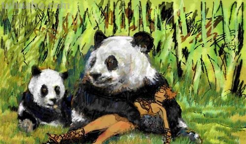 熊猫色彩及熊猫色彩画图片大全 