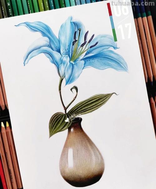 彩铅植物插花怎么画 彩铅花朵图解教程1？