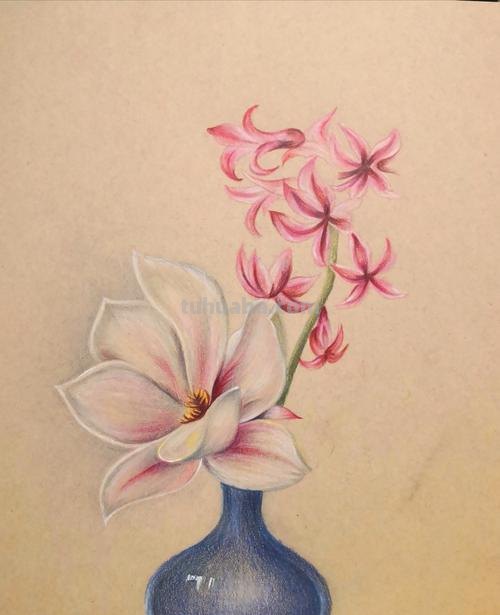 彩铅植物插花怎么画 彩铅花朵图解教程1？