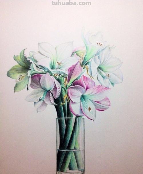 彩铅植物插花怎么画 彩铅花朵图解教程1？