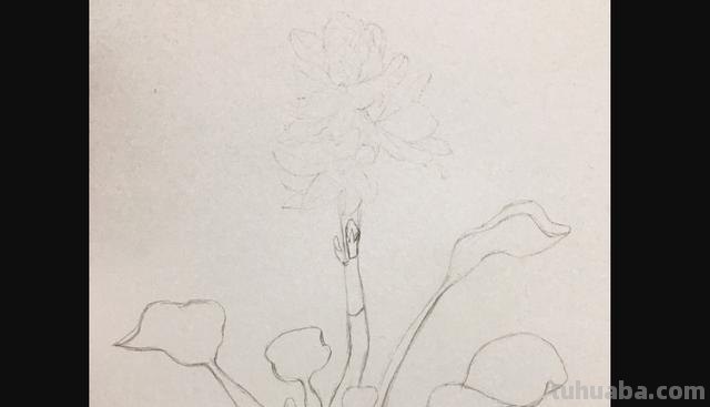 彩铅植物插花怎么画 彩铅花朵图解教程1？