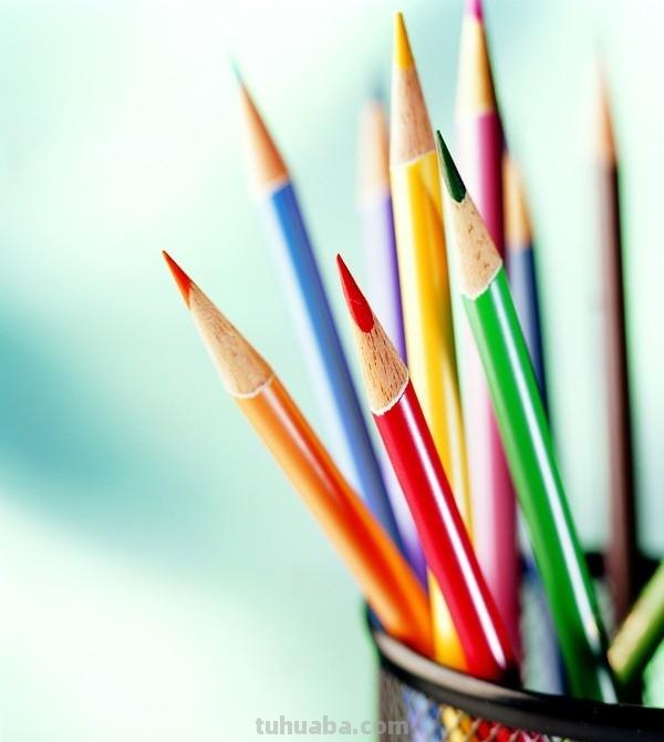 彩铅植物插花怎么画 彩铅花朵图解教程1？