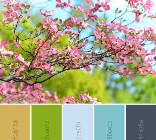 春季型色彩：轻盈的春风般的色彩 