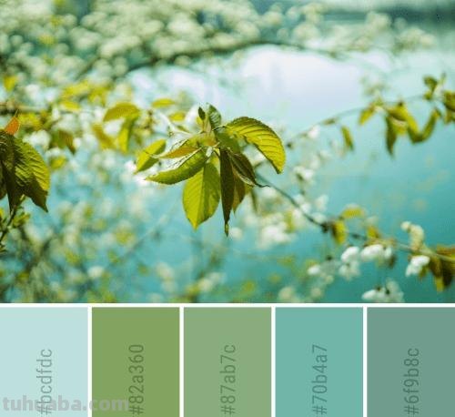 春季型色彩：轻盈的春风般的色彩 