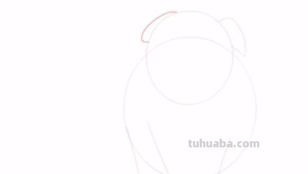 狗狗怎么画 彩铅颜色 如何画小狗？