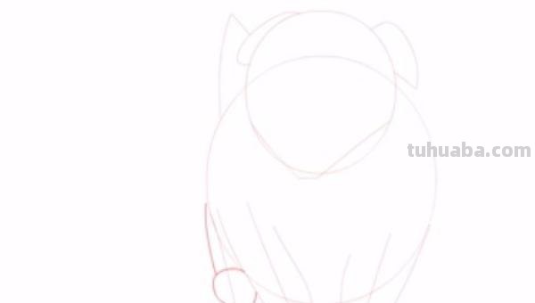 狗狗怎么画 彩铅颜色 如何画小狗？