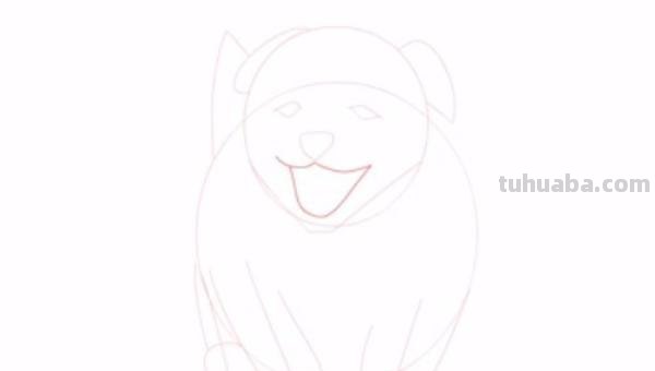 狗狗怎么画 彩铅颜色 如何画小狗？