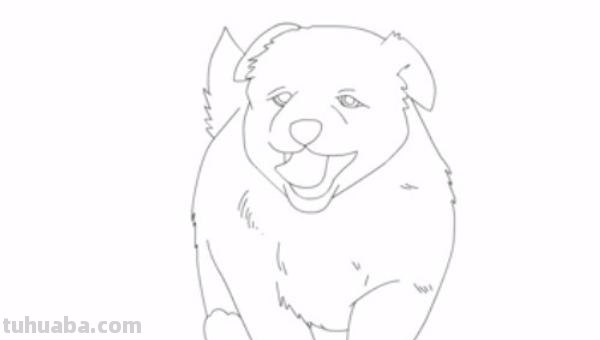 狗狗怎么画 彩铅颜色 如何画小狗？