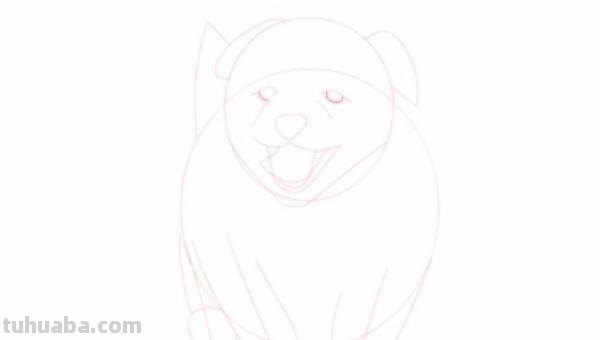 狗狗怎么画 彩铅颜色 如何画小狗？