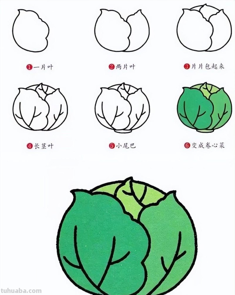 蔬菜故事拟人化简笔画