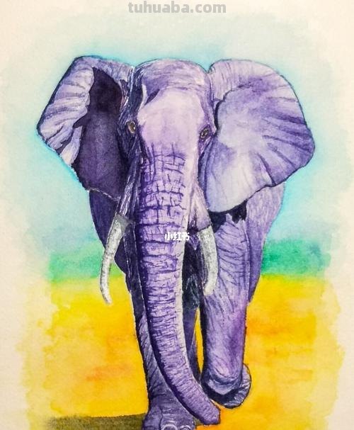 大象色彩及大象色彩画图片大全：探究大象色彩的魅力 
