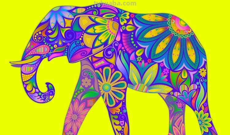 大象色彩及大象色彩画图片大全：探究大象色彩的魅力 