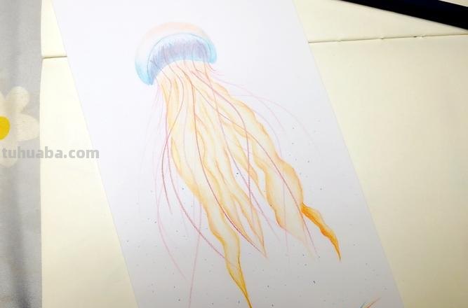 赤月水母彩铅怎么画 海月水母和赤月水母哪个好看？