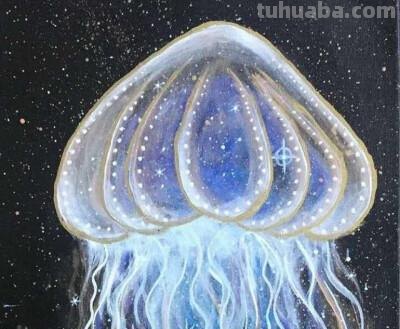 赤月水母彩铅怎么画 海月水母和赤月水母哪个好看？