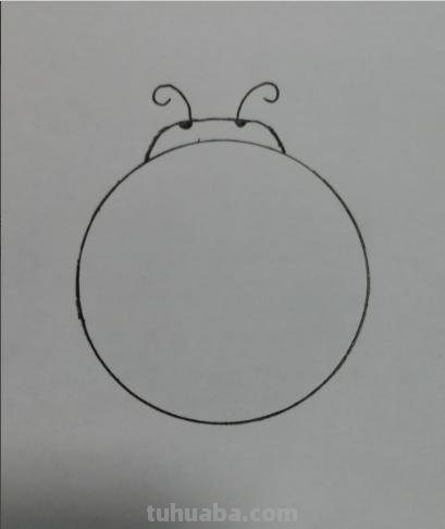 甲虫怎么画简笔画 甲龙宝宝简笔画画法？