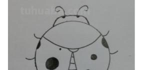 甲虫怎么画简笔画 甲龙宝宝简笔画画法？