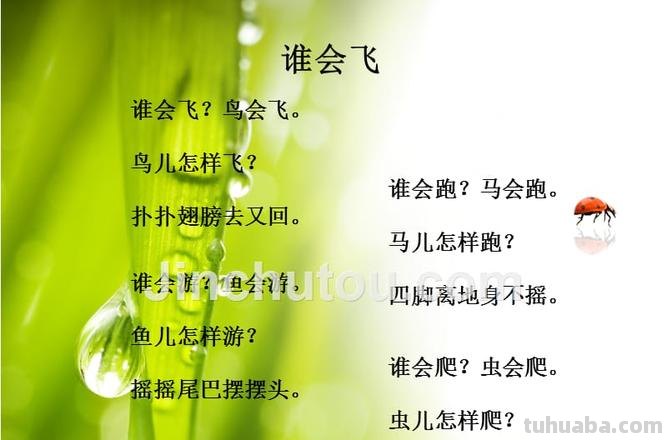 谁会飞儿歌 谁会飞儿歌简谱