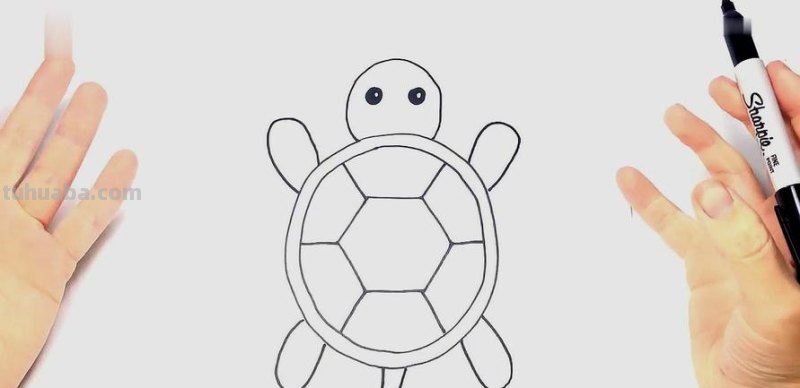 乌龟怎么画简笔画 怎么样能把乌龟画的又简单又好看？