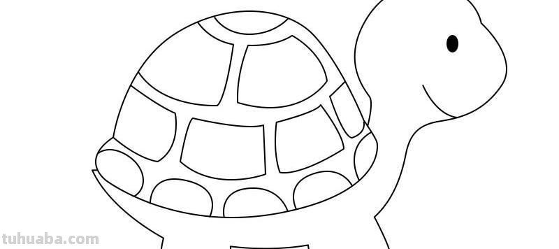 乌龟怎么画简笔画 怎么样能把乌龟画的又简单又好看?