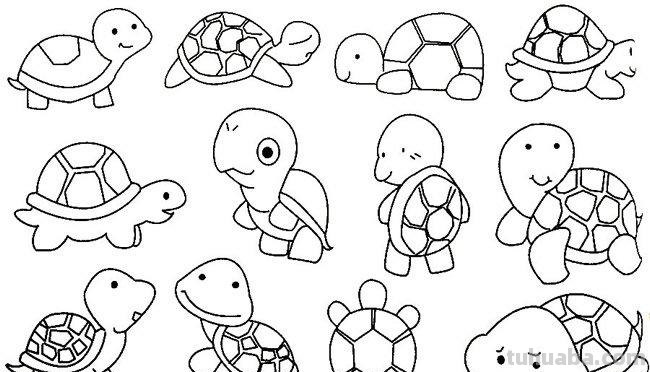 乌龟怎么画简笔画 怎么样能把乌龟画的又简单又好看?